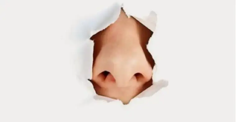 انواع بینی