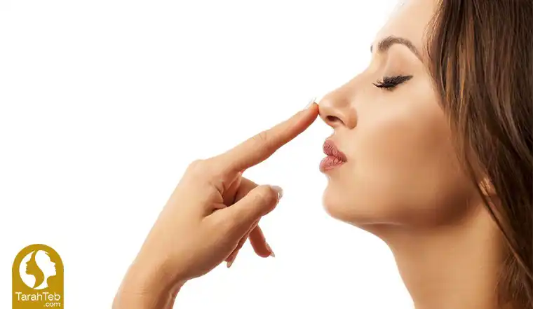 بالا بردن نوک بینی