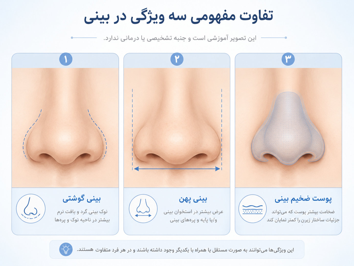 تفاوت بینی گوشتی، بینی پهن و پوست ضخیم بینی